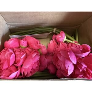 4 Bouquets Hot Pink 12" Silk Mini Ranunculus Artificial Flowers Decoration Craft